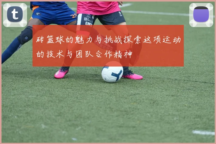 砖篮球的魅力与挑战探索这项运动的技术与团队合作精神