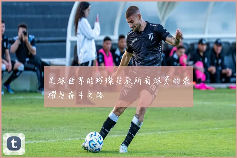 足球世界的璀璨星辰所有球员的荣耀与奋斗之路